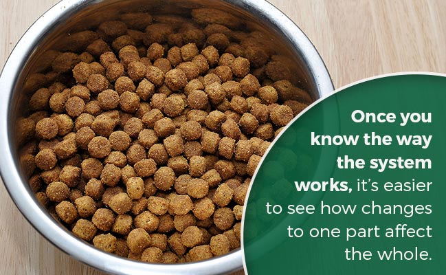 Dog food for hotsell dogs with digestive problems